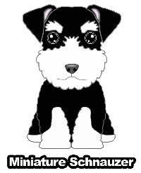 イラスト カラーステッカー シュナウザー Syuna Red St Papa 犬種別犬雑貨わんダフル 通販 Yahoo ショッピング