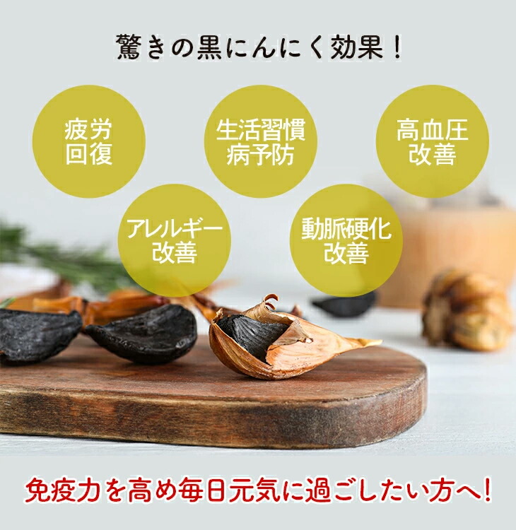 ５Lタイプ　　　自動黒ニンニク　発酵槽　黒ニンニク発酵ボックス 5Lタイプ自動黒ニンニク発酵槽黒ニンニク発酵ボックス
