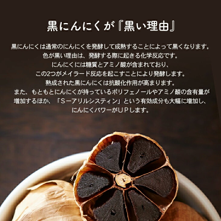 黒にんにく製造機 黒にんにく発酵器EX 黒にんにく 黒 にんにく