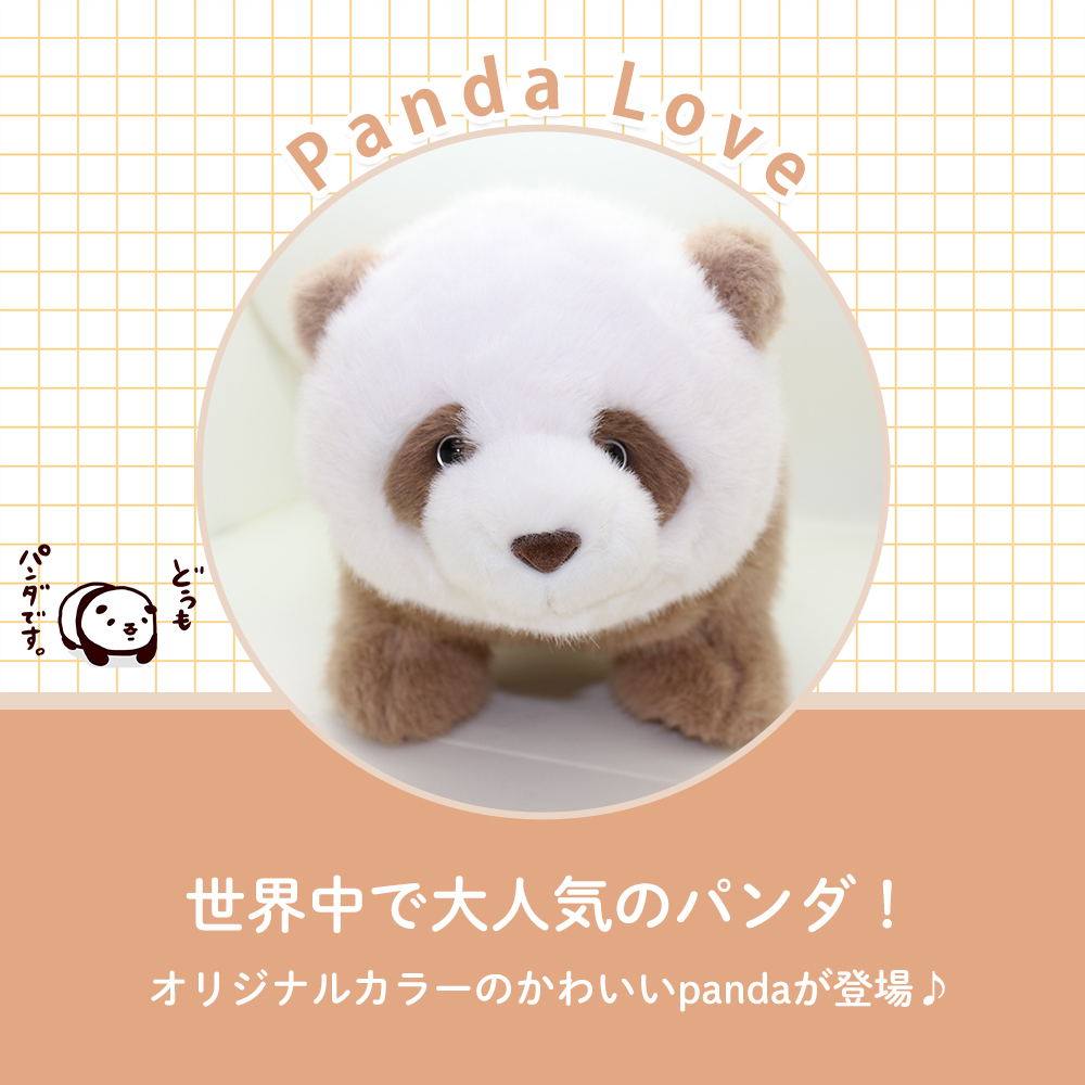 BIGサイズパンダぬいぐるみ AAA 15th Anniversary え～パンダBIGぬいぐるみ（5種）