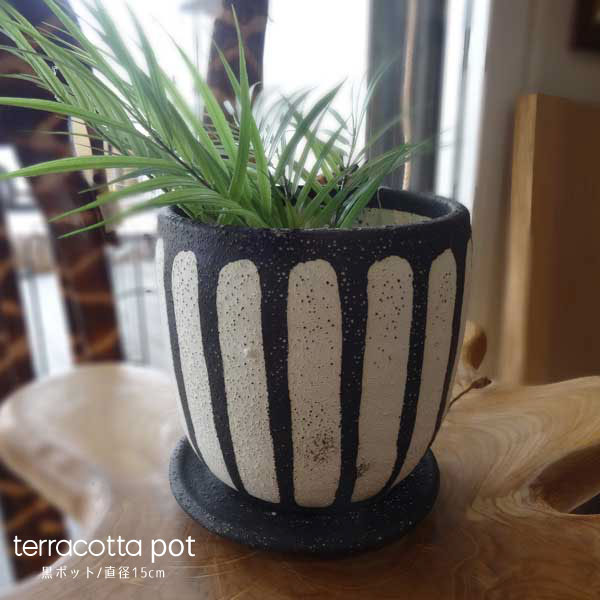 terracotta Pot stripe 懸崖4号鉢用 植木鉢 プランター 黒ポット