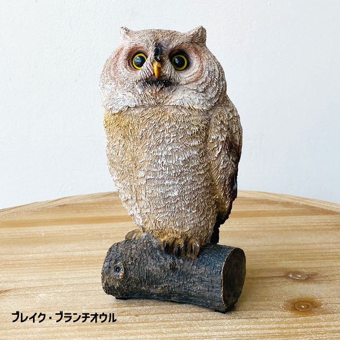 ルック・ブランチオウル ブレイク・ブランチオウル 梟 ふくろう