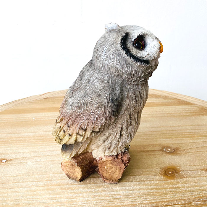  シロフクロウ　オウル　owl ルック・ブランチオウル ブレイク・ブランチオウル 梟 ふくろう