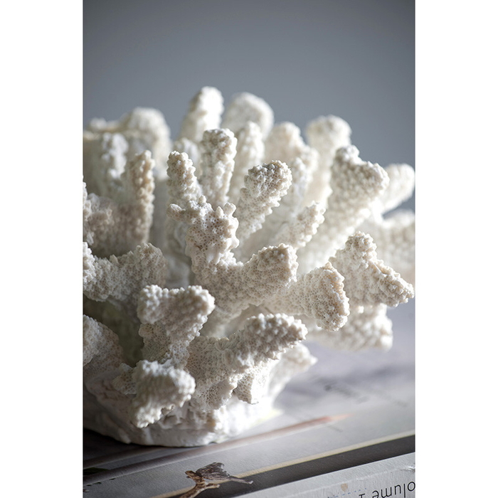 珊瑚オブジェ ホワイト 珊瑚 サンゴ Coral White インテリア オブジェ