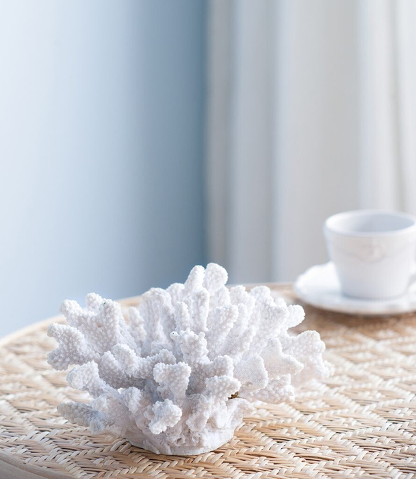 珊瑚オブジェ ホワイト 珊瑚 サンゴ Coral White インテリア オブジェ