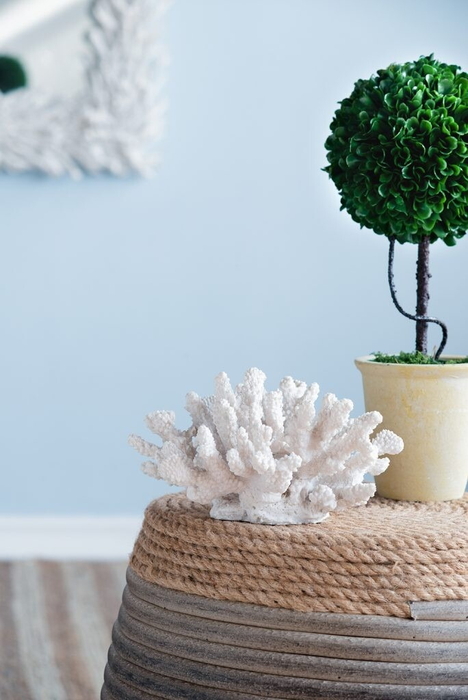 珊瑚のインテリア 楽天市場】【LINE700円オフ】サンゴ オブジェ 珊瑚 コーラル