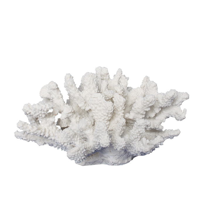 珊瑚　オブジェ 珊瑚オブジェ ホワイト 珊瑚 サンゴ Coral White インテリア オブジェ