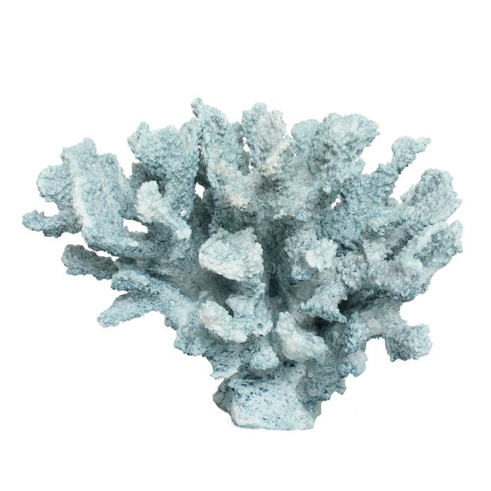 サンゴ置物　珊瑚　テーブルサンゴ　オブジェ 51jsDQXtyyL.jpg_BO30,255,255,