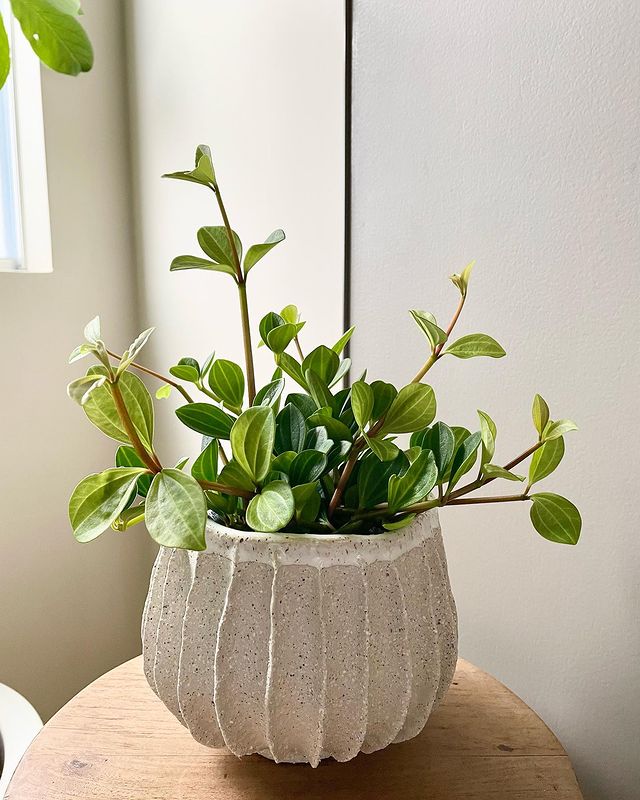 ストーンウェア フラワーポット 植木鉢 鉢カバー プランター おしゃれ