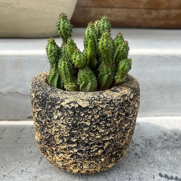 Coral pot 直径14、24、30，41.5cm 植木鉢 プランター おしゃれ 鉢