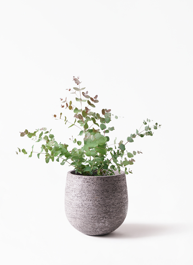 鉢カバー Eco Stone エコストーン 6号鉢用 グレー Glay 観葉植物 