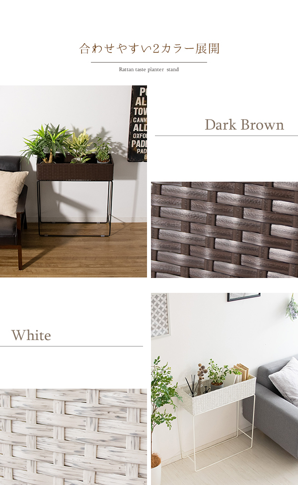 ホワイト、ブラウン