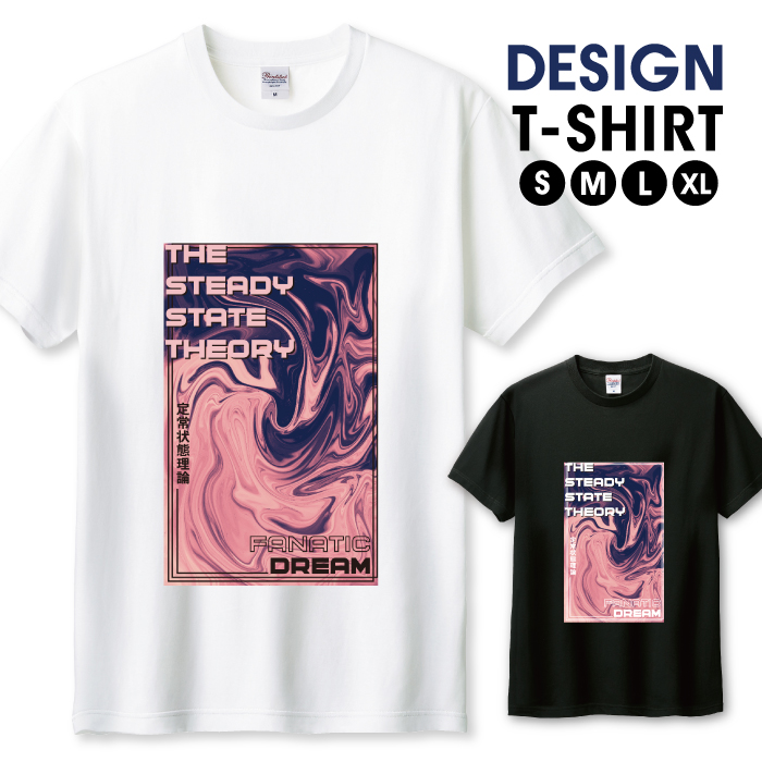 Tシャツ メンズ ユニセックス ホワイト ブラック 定常状態理論