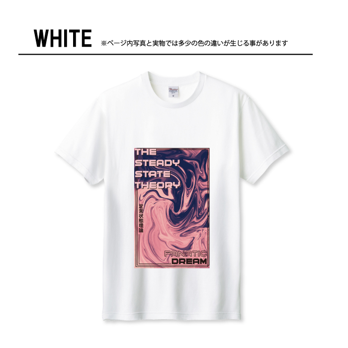 Tシャツ メンズ ユニセックス ホワイト ブラック 定常状態理論