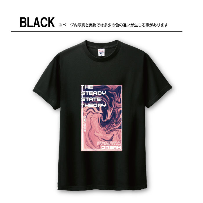 Tシャツ メンズ ユニセックス ホワイト ブラック 定常状態理論