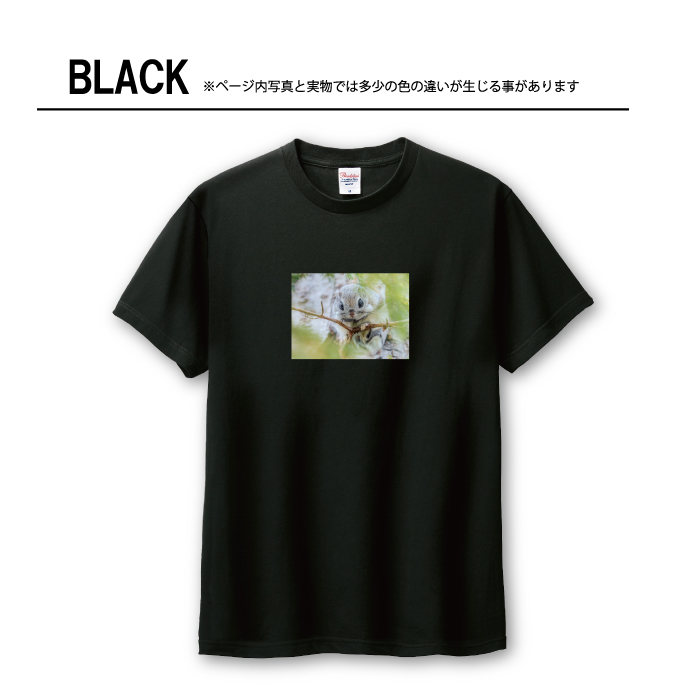 Tシャツ メンズ ユニセックス ホワイト ブラック モモンガ ももんが