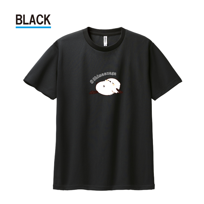 Tシャツ ドライTシャツ 速乾 吸汗 スポーツ ホワイト ブラック