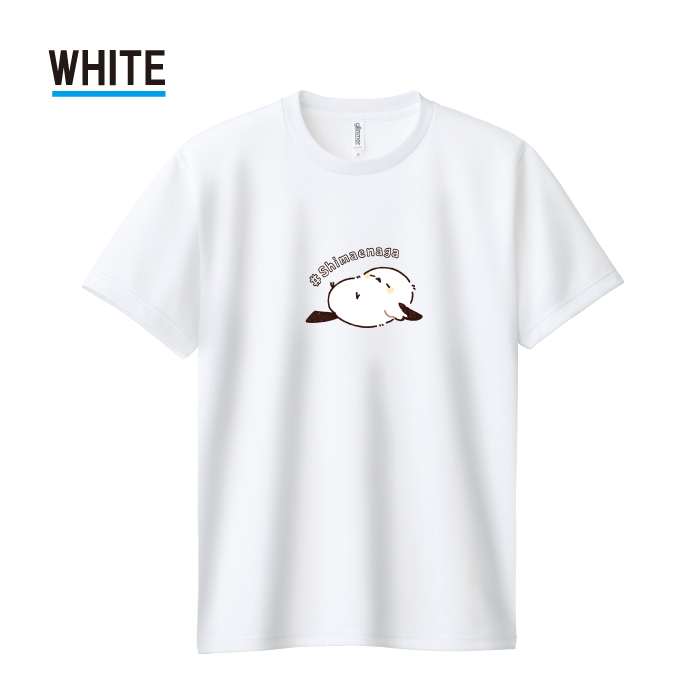 Tシャツ ドライTシャツ 速乾 吸汗 スポーツ ホワイト ブラック