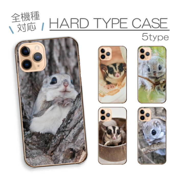 AQUOS sense8 SH-54D SHG11 SH-M26 �P�[�X �n�[�h�P�[�X �J�o�[ �������K ������ �t�N���������K �G�]�������K ���� �A�j�}��