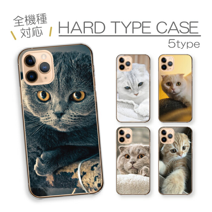 iPhone17 Pro �P�[�X �n�[�h�P�[�X �J�o�[ �L �l�R ���L �X�R�e�B�b�V���t�H�[���h �}���`�J�� �ʐ^ ����