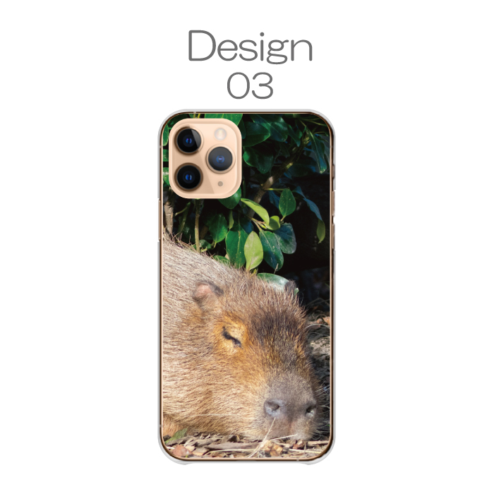 iPhone 16 ケース ハードケース カバー カピバラ かぴばら 動物