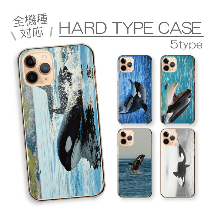 iPhone15Pro ケース ハードケース カバー シャチ 鯱 海 海の生き物 海