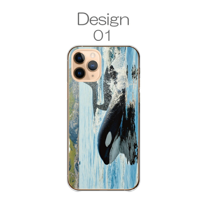 iPhone15Pro ケース ハードケース カバー シャチ 鯱 海 海の生き物 海
