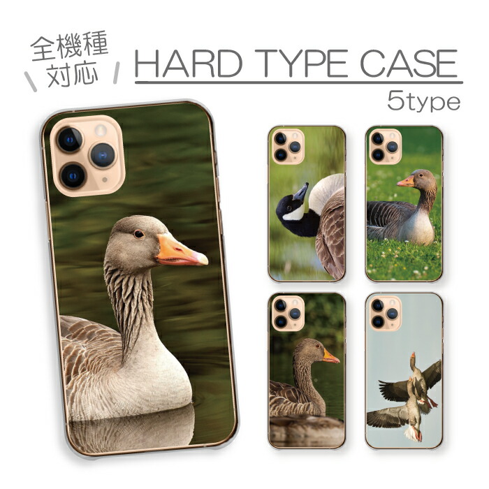 arrows We2 F-52E FCG02 M07 �P�[�X �n�[�h�P�[�X �J�o�[ �K�`���E �����傤 �� �Ƃ� ���� �O�[�X �H�� �� �ʐ^ �t�H�g