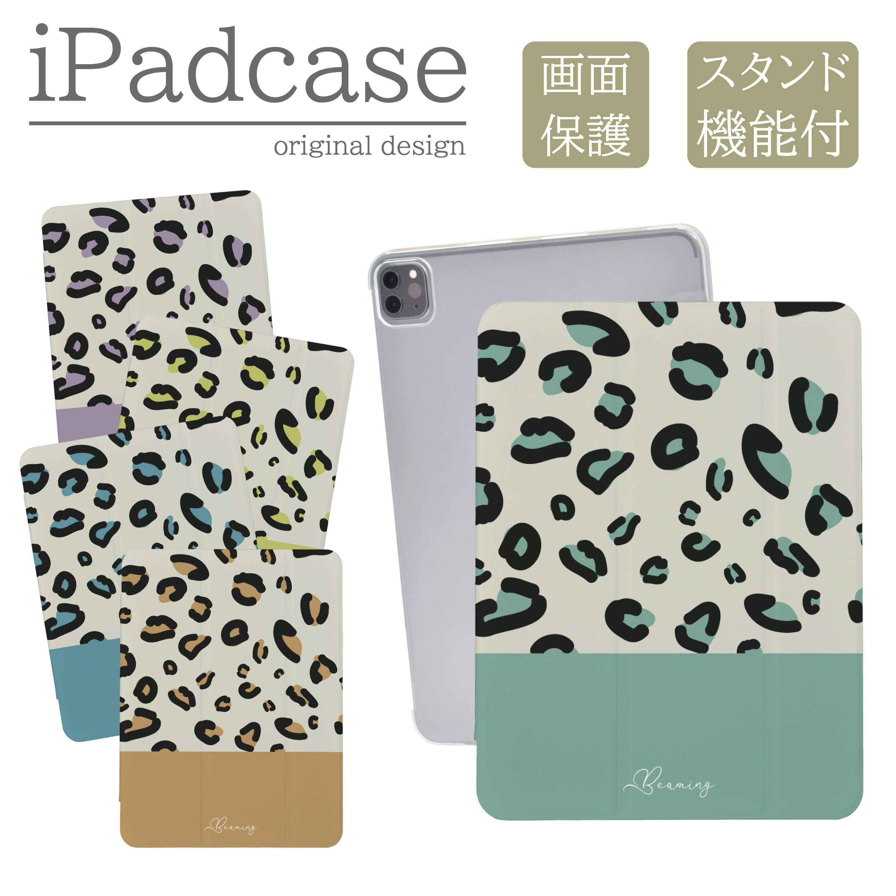 case-ipad231.jpg