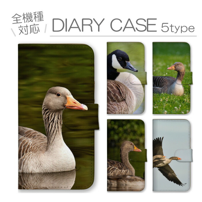 AQUOS sense10 SH-53F SHG15 A505SH SH-M33 �P�[�X �蒠�^ �J�o�[ �K�`���E �����傤 �� �Ƃ� ���� �O�[�X �H�� �� �ʐ^ �t�H�g