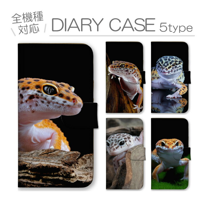 arrows We2 F-52E FCG02 M07 �P�[�X �蒠�^ �J�o�[ ���I�p �q���E�����g�J�Q���h�L ঒��� �g�J�Q ������ �y�b�g