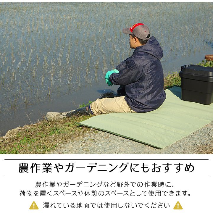 レジャーシート 440×352cm 洗える 江戸間10畳 アウトドア 日本製 畳風の画像
