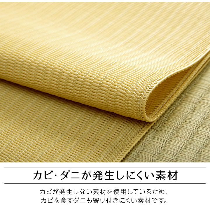 レジャーシート 440×352cm 洗える 江戸間10畳 アウトドア 日本製 畳風の画像