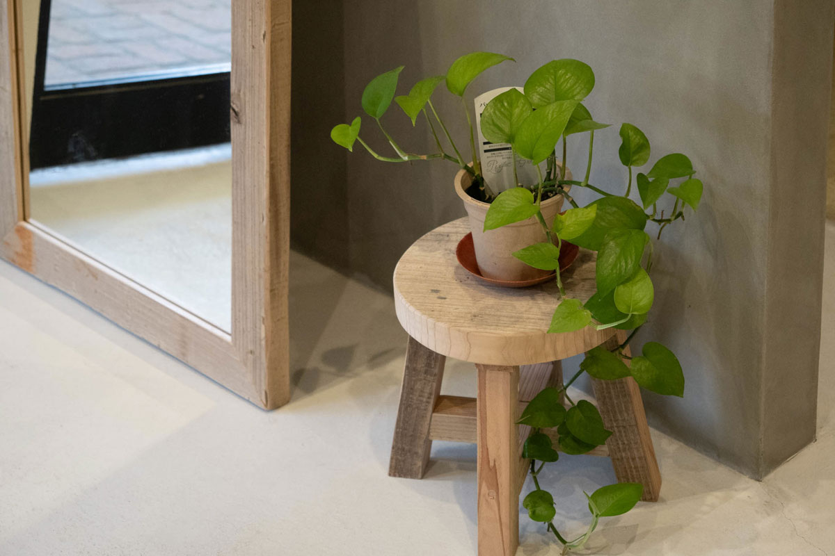 OLD ASHIBA丸椅子ミニ 観葉植物と