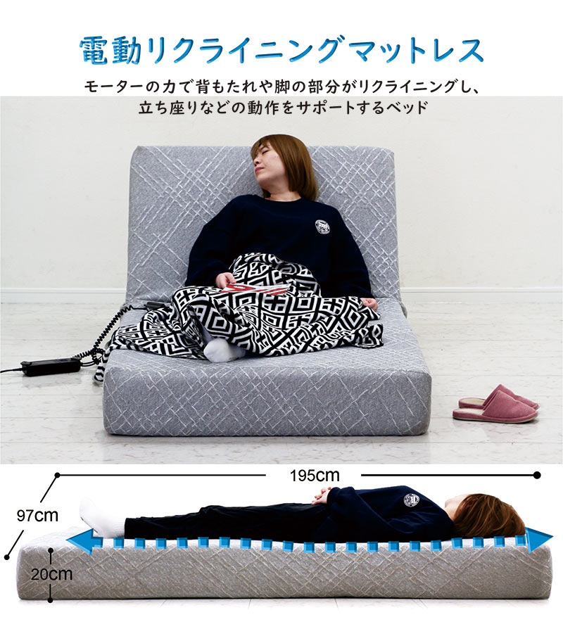 P9％〜 電動リクライニングマットレス シングル OKIN 介護用 2モーター