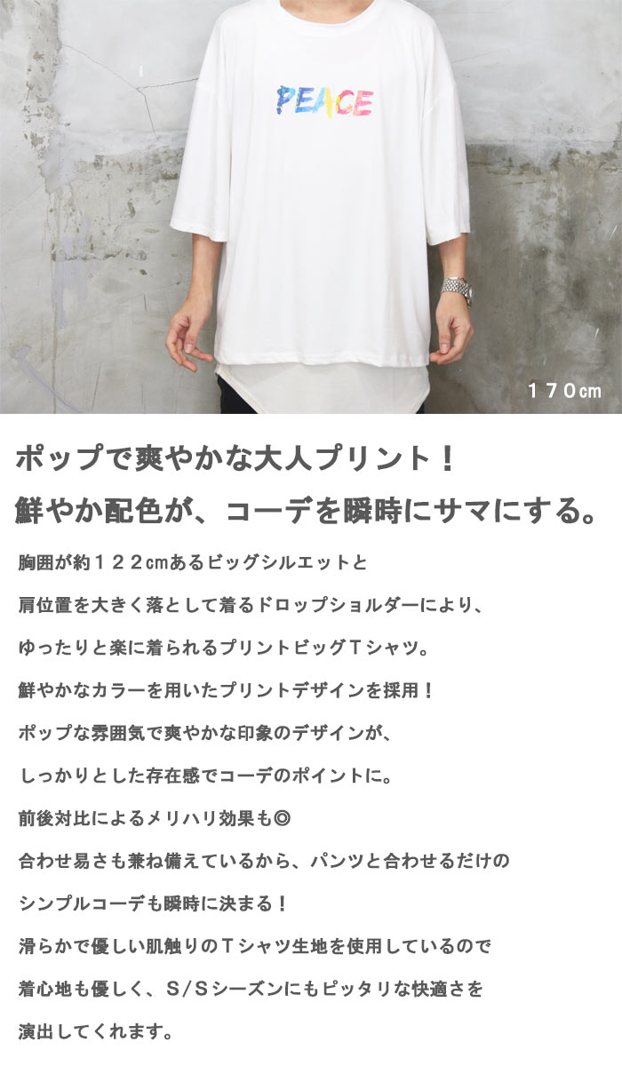 プリントビッグTシャツ メンズ [M便 1/1] プリントTシャツ ビッグT