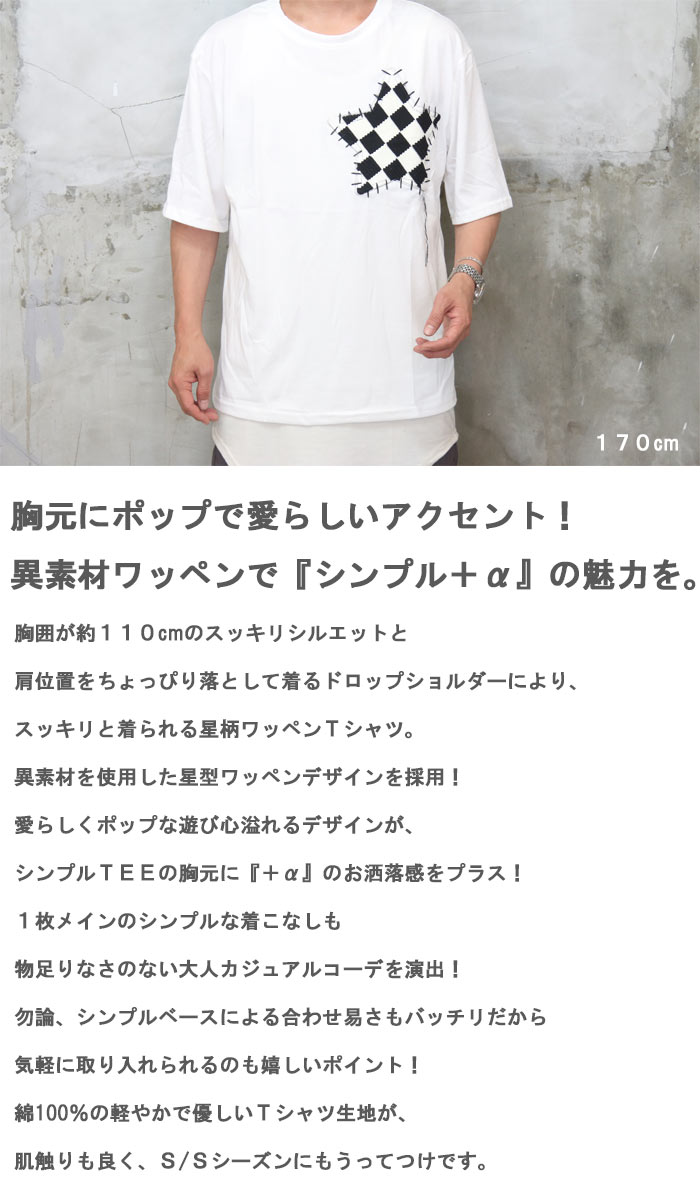 ワッペンTシャツ メンズ [M便 1/1] tシャツ 星柄Tシャツ チェックT