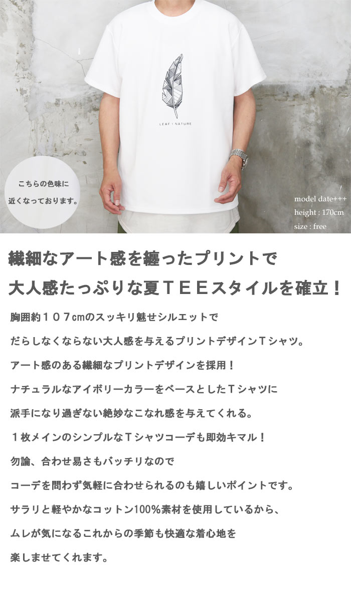 送料無料】バーゲン! プリントTシャツ☆ [M便 1/1] トップス メンズ T