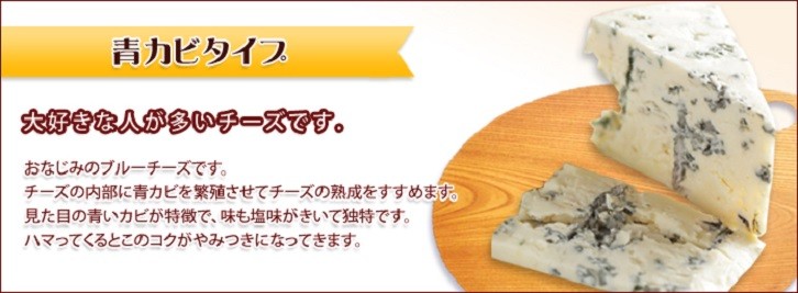 イタリア産 冷凍ゴルゴンゾーラ クラッシュ 500g2,192円 チーズ | maxwellcenter.com