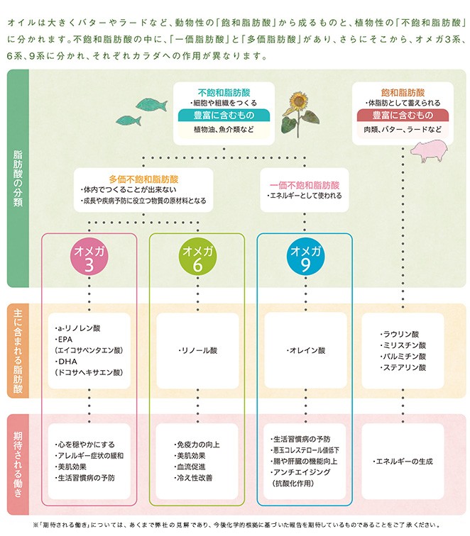 オイルの特徴を知り、自分に合ったものを効果的に摂り入れる