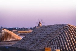 イタリア・シチリア州トラパニにあるソサルト社