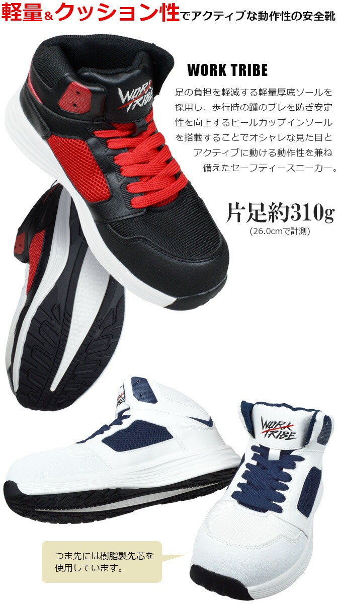 wt10001010_b.jpg