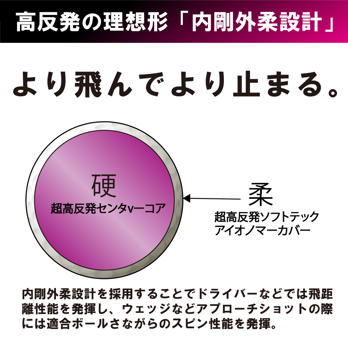 ワークスゴルフ 訳アリ 箱なし 高反発 飛匠プレミアムレディ