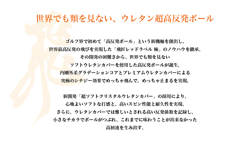 専用☆ヘッドロココ飛翔☆ 飛匠 めっちゃソフト 2025年モデル｜ワークスゴルフ公式ショップ