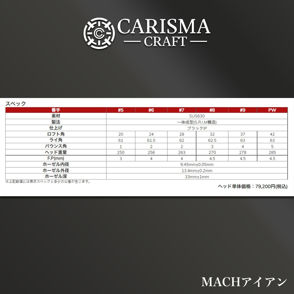 ゴルフ クラブ アイアン ワークスゴルフ MACHアイアン ワークテック飛匠シャフト仕様 カーボン マッハ カリスマクラフト｜worksgolf｜15