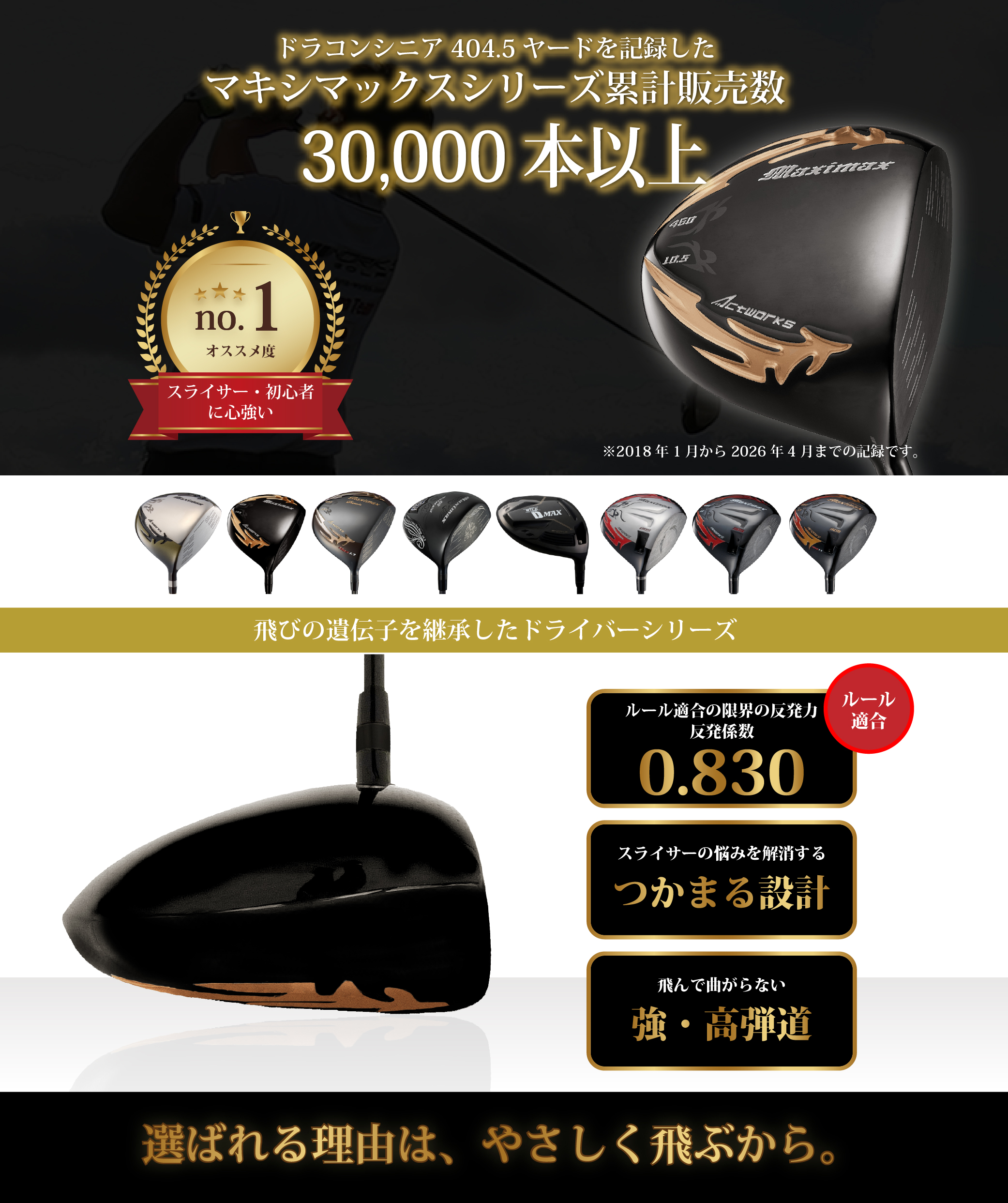 ワークスゴルフ 爆買 WORKSGOLF(ワークスゴルフ) SLE適合 MAXIMAX