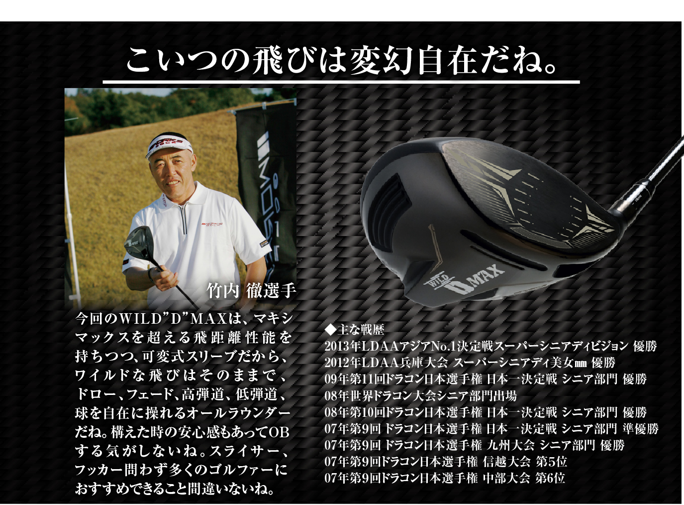 ワークスゴルフ 爆買 WORKSGOLF(ワークスゴルフ) SLE適合 WILD D MAX
