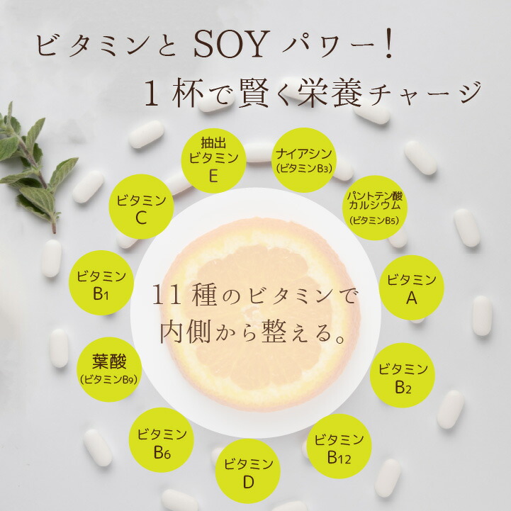 ＼1000円ポッキリ 送料無料 訳あり大特価！／賞味期限間近26年3月 ソイプロテイン アウトレット カカオ 美味しい チョコ マルチプロテイン (ネコポス) tk-1001 | ブランド登録なし | 04