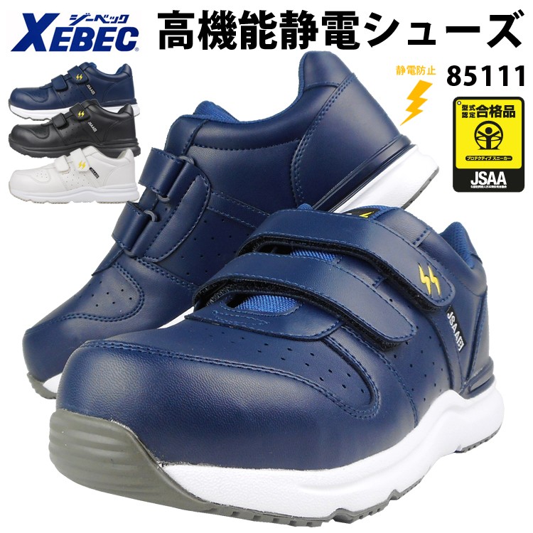 85111_a.jpg