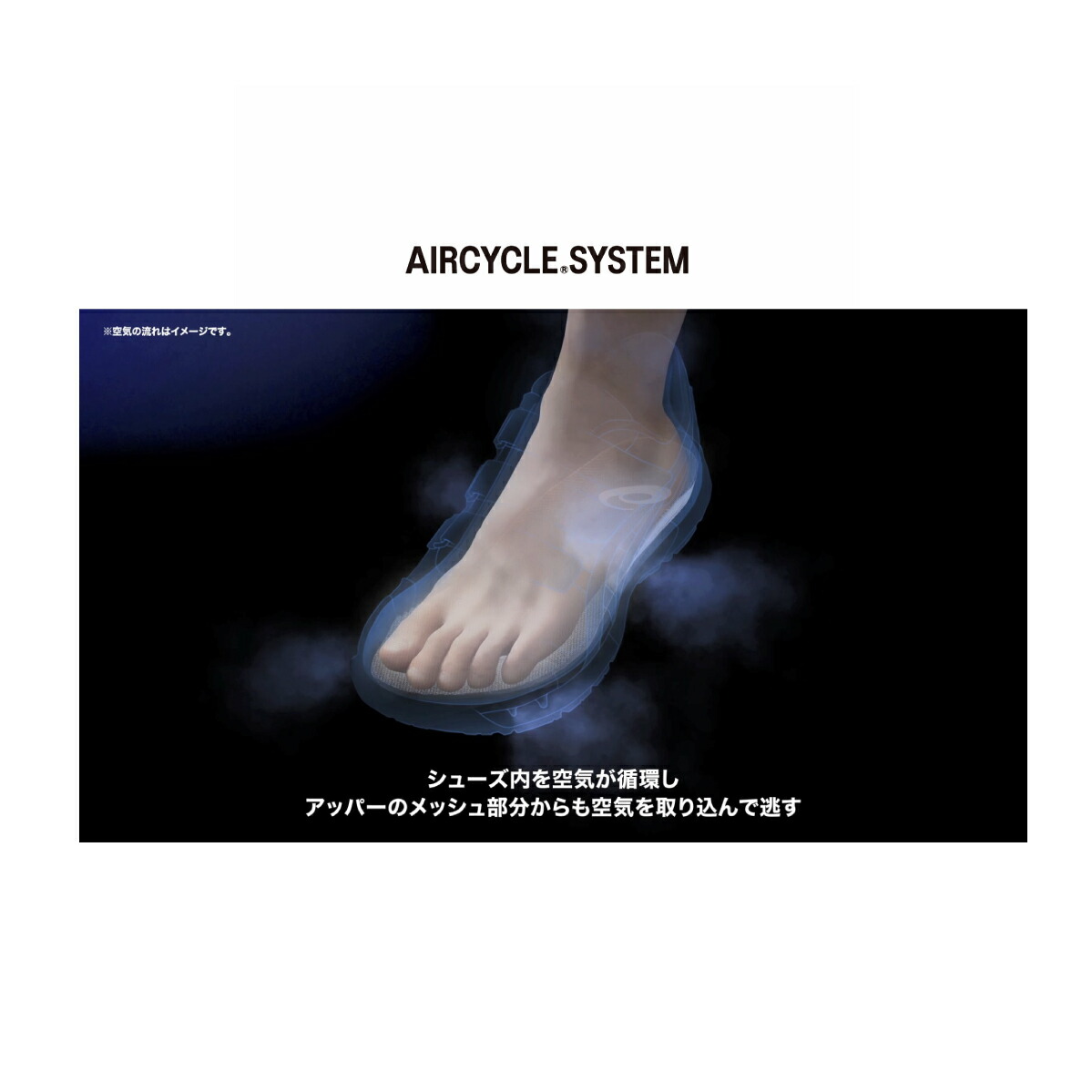 ウィンジョブ asics 安全靴 CP212 AC 限定色 エレクトリック